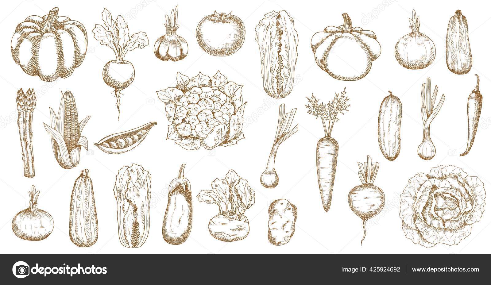 Vegetal dos desenhos animados - cenoura do esboço. cara vegetal pinturas  para a parede • quadros desenho, vitamina, objeto