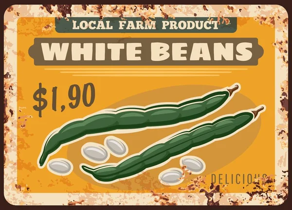 Beans Vegetables Rusty Metal Plate Farm Market Food Price Vector — Stock Vector