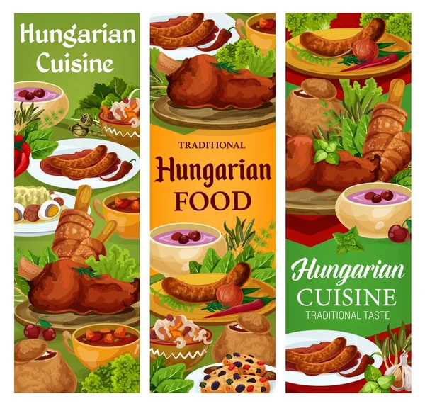 Hungary Cuisine Vector Hungarian Food Sausages Spicy Sauce Onion Salad — Stock Vector