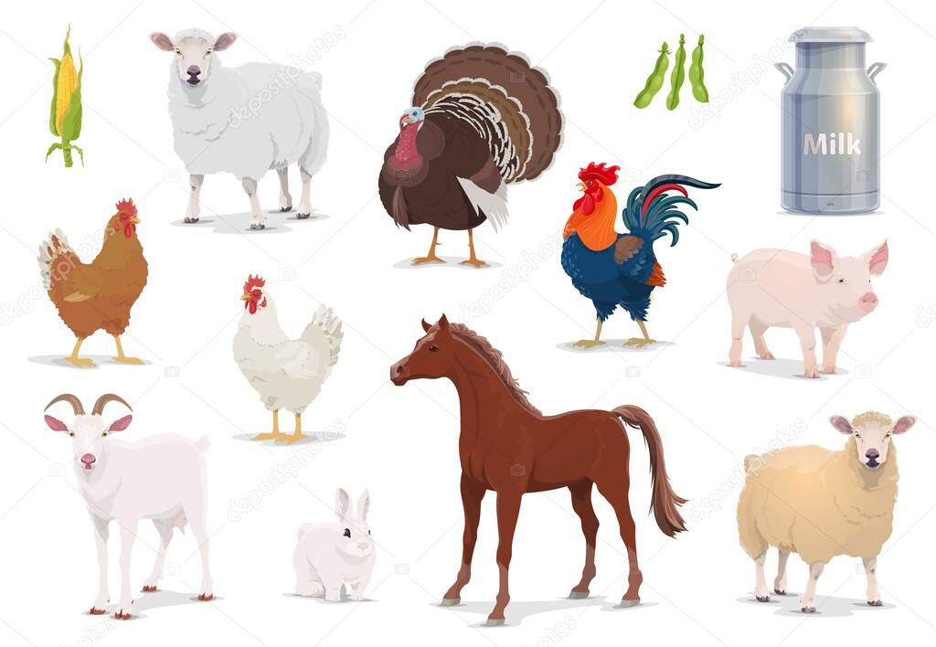Farm animals cartoon vector sheep, turkey and cock, pig, goat and horse with chicken and rabbit. Corn, milk in tin can and bean pods, farm husbandry production, healthy eco food isolated icons set