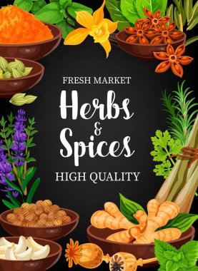 Bitki ve baharat vektör baharatları anason, vanilya, lavanta ve zerdeçal, zencefil, anis ve vanilya. Kişniş, kardamon, nane ve haşhaş, sarımsak, biberiye ve kereviz baharatları ve baharatlar