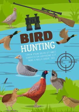 Water and upland birds hunting poster. Vector pheasant and grouse, flying wild duck or mallard, floating on river goose, woodcock and partridge chukar, hunter binoculars and rifle with optical sight clipart