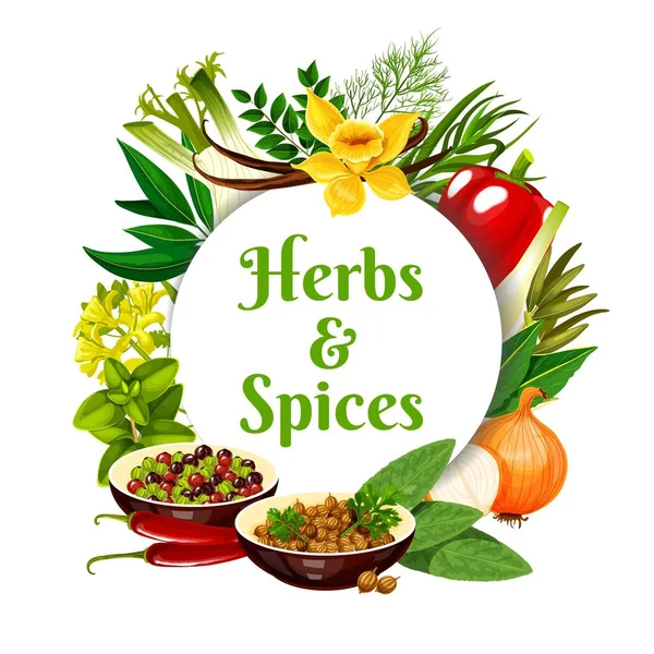 Herbs Spices Vector Frame Peppercorn Coriander Onion Bay Leaves Bell — Stock Vector