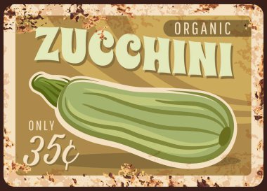 Kabak kabağı kabağı kabağı, tarım sebzeleri ve salata bitkileri için paslı metal plaka, vektör retro poster. Doğal organik tarım sebzesi, yeşillik kabağı kabağı ya da kabak metal işareti.
