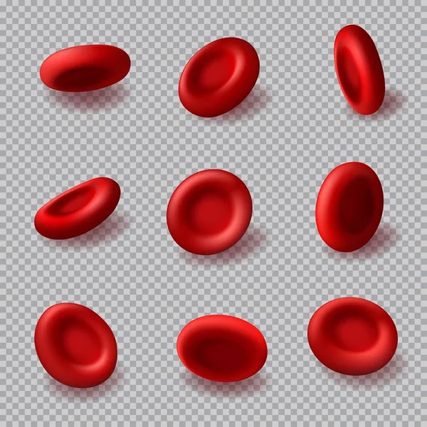 Rode Bloedcellen Vector Hemoglobine Hematologie Geneeskunde Menselijke Lichaam Anatomie Realistische — Stockvector