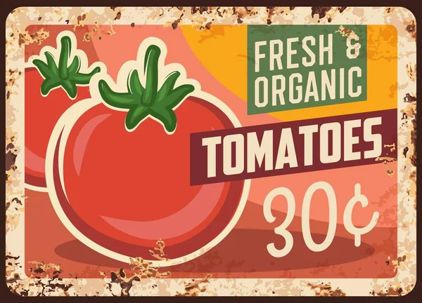 Tomatoes Rusty Metal Plate Vector Farm Market Price Tag Vintage — Stock Vector