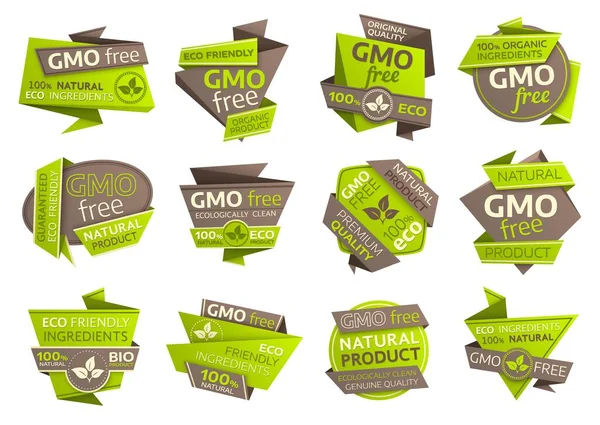 Вектор Гмо Бумажными Сиропами Органической Экологически Чистой Натуральной Здоровой Пищи — стоковый вектор