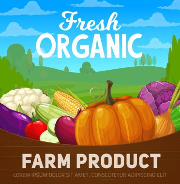 Taze çiftlik sebzeleri, organik gıda ürünleriyle dolu vektör posteri. Çizgi film domates, lahana, balkabağı ve soğan, kabak, karnabahar, mısır ve patlıcan, salatalık ve pancar çiftlikteki ahşap sepetin içinde.