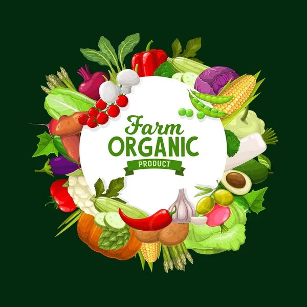 Farm Vegetables Vector Frame Organic Veggies Squash Bell Pepper Cauliflower — Stock Vector