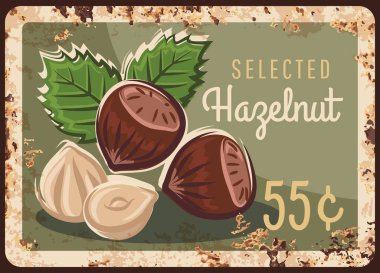 Fındıklı fındık, fındık, fındık taşı, paslı metal plaka, fiyat tabelası ya da çiftlik marketi menüsü, vektör retro poster. Organik doğal çiğ yiyecekler, aşçılık malzemeleri ve tatlı aperatifleri fındık veya fındık, metal plaka pas