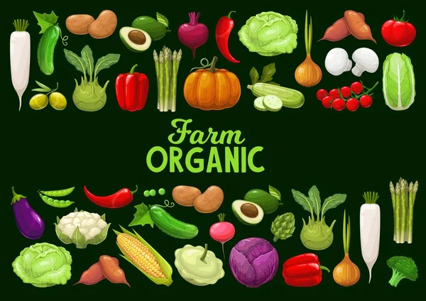 Vegetables Organic Farm Vector Veggies Greenery Corn Tomato Squash Cauliflower — Stock Vector