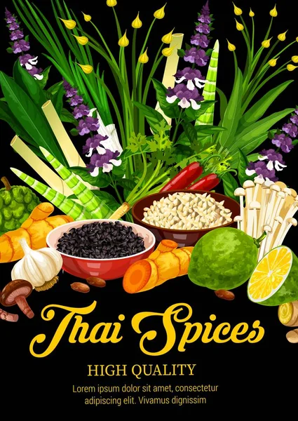 Thai Fűszerek Gyógynövények Ételízesítők Fűszerek Ázsiai Konyha Kaffir Citromfű Chili — Stock Vector