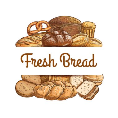 Fırın ekmeği ve hamur işi taslak vektörü. Challah veya örgü ekmek, çavdar, buğday ve ekşi ekmek, tuzlu kraker, batard veya çiçek, susamlı çörek. Fırın ya da pastane afişi