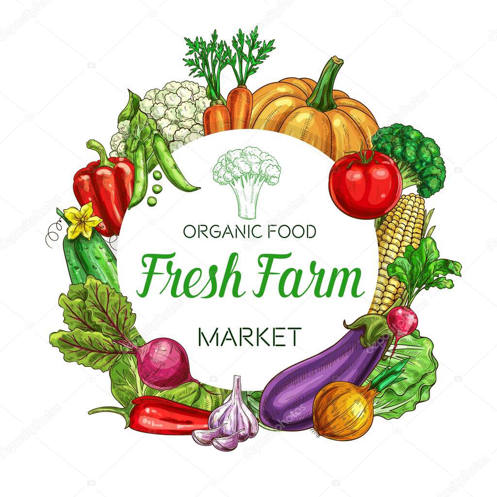 Farm vegetables vector round frame eggplant, bell pepper and cauliflower with beetroot. Cucumber, green peas and radish with onion, garlic, corn and pumpkin. Cartoon farm market food, veggies products