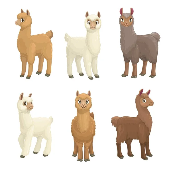 Lama Alpaca Guanaco Lama Vicuna Dieren Cartoon Vector Set Kameelzoogdieren — Stockvector