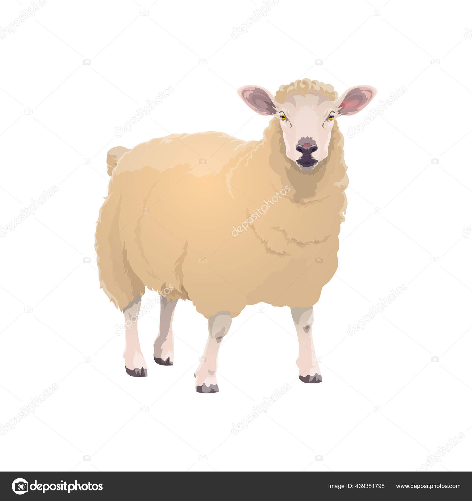 Lamb Sheep Farm Animal Icon Vector Cattle Farming Mutton Meat Stock Vector Image by ©Seamartini #439381798 Lamb Sheep Farm Animal Icon Vector Cattle Farming Mutton Meat Stock Vector Image by ©Seamartini #439381798