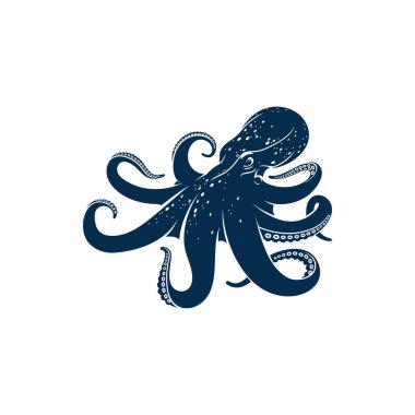 Ahtapot, sekiz kollu yumuşakça yalıtılmış deniz hayvanı. Dokunaçlı su altı yaratığı taşıyıcı.