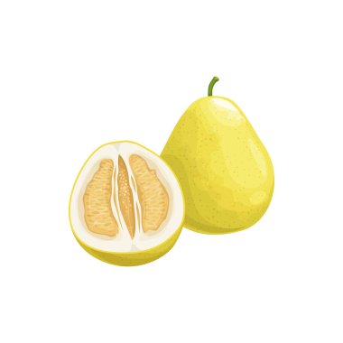 Pomelo meyvesi, tropikal turunçgil, vektör izole gıda ikonu. Pomelo, pummelo ya da shaddock meyveleri yarısı kesilmiş ve tropik çiftlik meyveleri sulu egzotik meyveler, tatlı meyveli tatlı