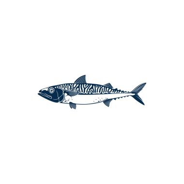 Mackerel common name of different species of pelagic fish, family Scombridae. Vector Short indian mackerel, Atlantic chub Wahoo scombrid fish. Underwater animal, fishing sport trophy isolated clipart