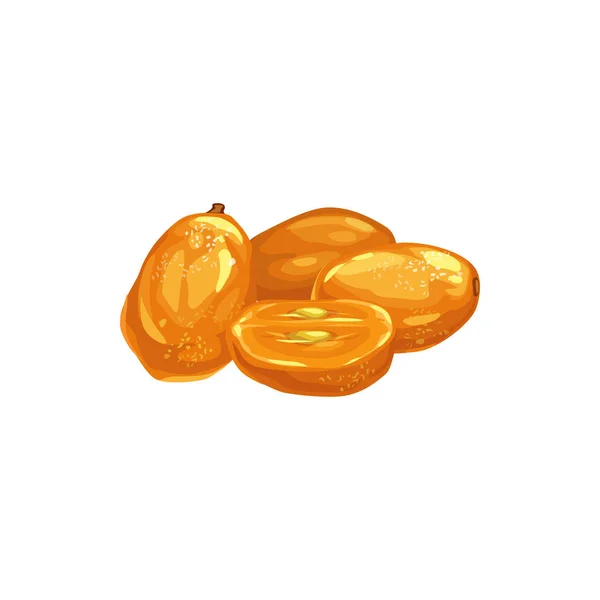 Kumquat Gedroogde Vruchten Snacks Fruitsnoepjes Geïsoleerde Vectoricoon Gedroogde Kumquat Cumquat — Stockvector