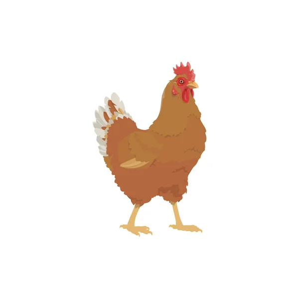 Kyckling Höna Gård Fågel Ikon Jordbruk Fjäderfä Och Ägg Mat — Stock vektor