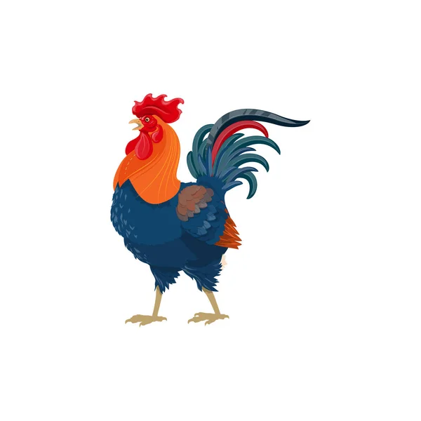 Rooster Cock Bird Farm Agriculture Poultry Domestic Fowl Meat Vector — Stock Vector