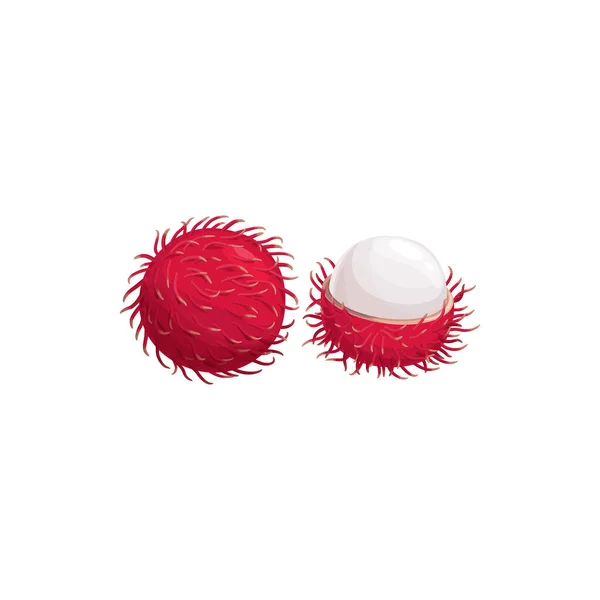 Lychee Fruta Litchi Lichi Comida Exótica Tropical Vector Icono Aislado — Archivo Imágenes Vectoriales