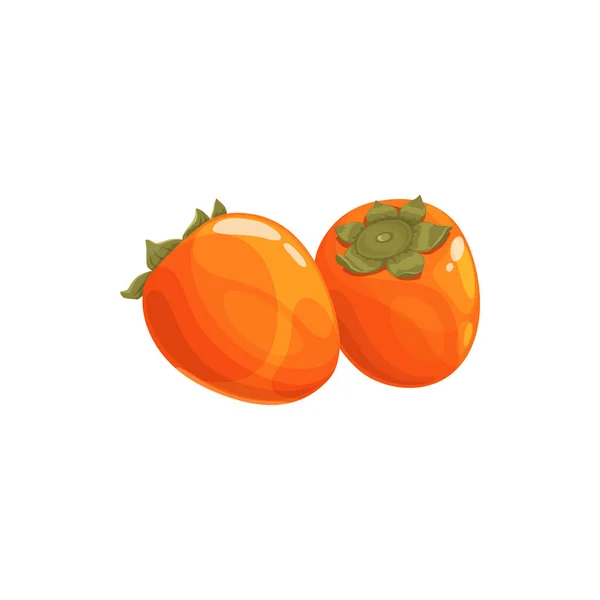 Persimmon Kaki Fruit Tropisch Exotisch Voedsel Vector Geïsoleerd Icoon Persimmon — Stockvector