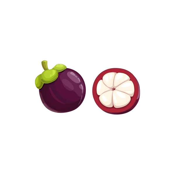 Mangosteen Gyümölcs Trópusi Egzotikus Étel Vektor Izolált Ikon Mangosteen Gyümölcs — Stock Vector