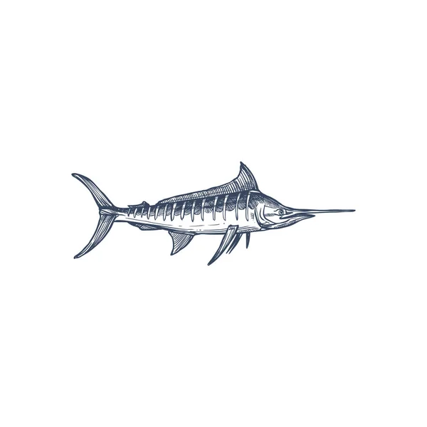 Broadbills Fish Sword Snout Isolated Swordfish Monochrome Icon Vector Long — Stock Vector