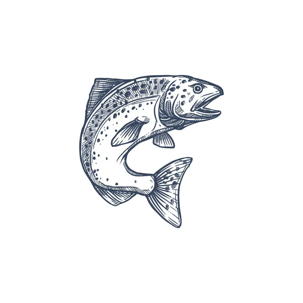 Atlantic Salmon Ray Finned Fish Family Salmonidae Isolated Monochrome Sketch — Stock Vector