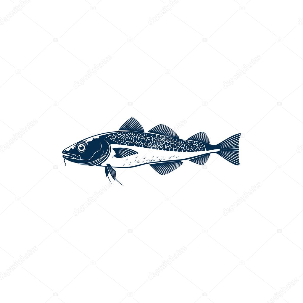 Codfish freshwater gamefish fish isolated monochrome icon. Vector European, Balkhash or yellow perch, river or lake animal, Walleye Zander or scumbidae saltwater fish. Fishing sport mascot