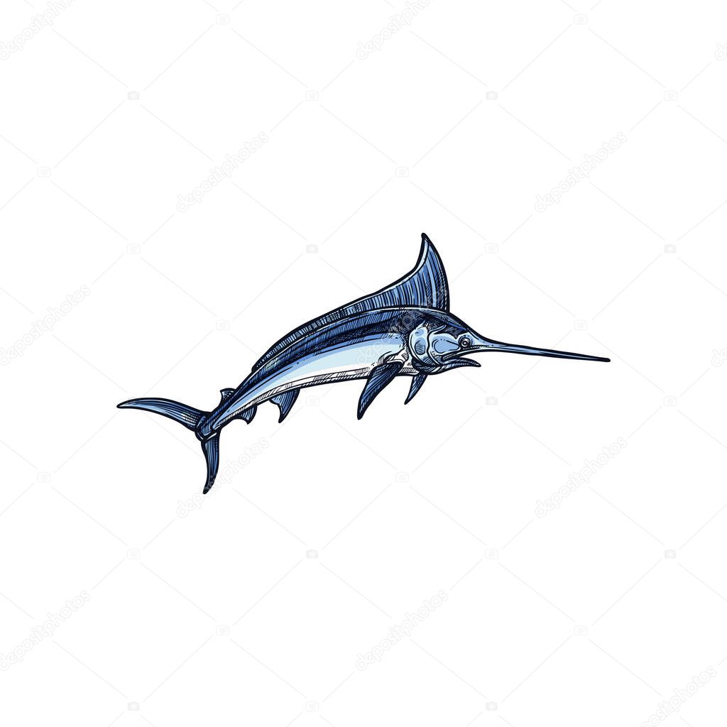 Needlefish, marlin or swordfish isolated monochrome sketch. Vector broadbills saltfish, ocean sword fish