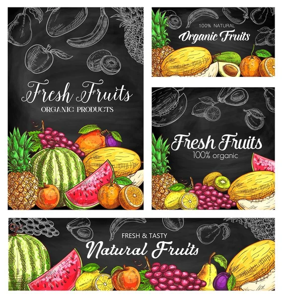 Affiches Croquis Vectoriels Fruits Frais Ananas Naturel Pastèque Abricot Raisin — Image vectorielle