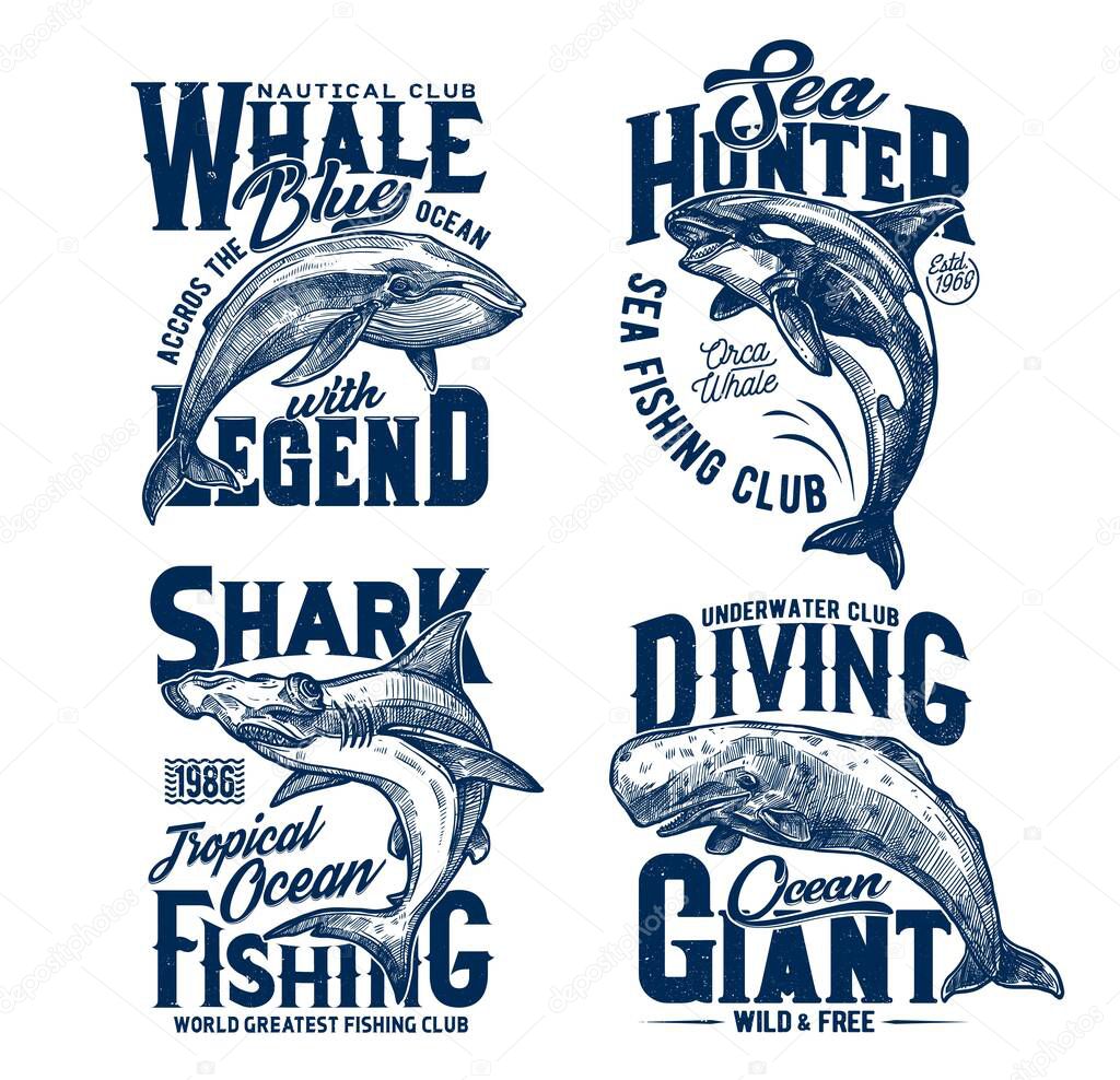 Tshirt prints with hummer head shark, killer and blue whales, vector mascots for fishing, diving or marine club. Sea predator animals, ocean adventure team prints with typography on white background