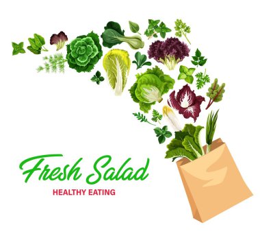 Yeşillik salataları, taze yeşiller, alışveriş poşetinde vektör marullar. Arugula, hindiba ve ıspanak, su teresi, karalahana ve mangold yaprağı salatası, çiftlik bahçesi kişniş ve romanesko sebzeleri çiğ gıda.