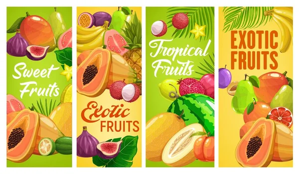 Verse Tropische Vruchten Vector Ananas Banaan Granaatappel Peer Vijgen Watermeloen — Stockvector