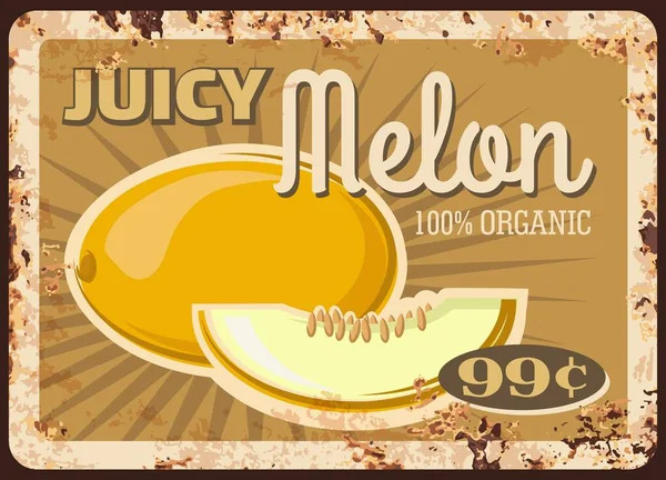 Melon Fruit Metal Plate Rusty Food Market Price Retro Poster — Stock Vector