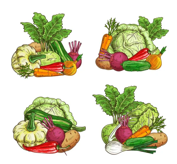 Дозрілі Овочі Зелені Харчові Ескізи Сільське Господарство Pattypan Squash Kohlrabi — стоковий вектор