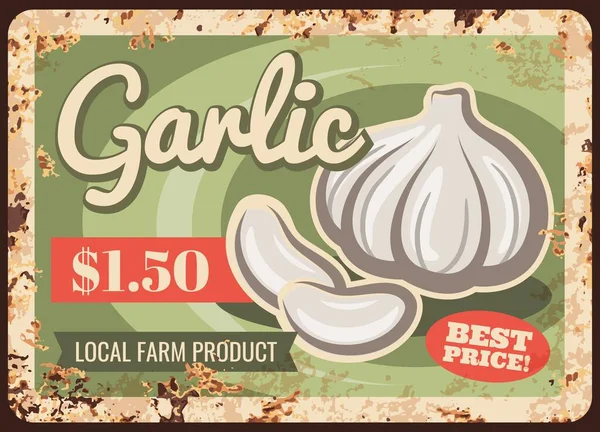 Organic Farm Garlic Harvest Rusty Metal Plate Local Farm Product — Stock Vector