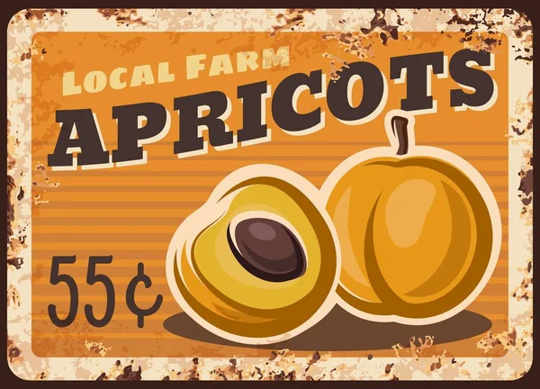 Apricots Fruits Metal Plate Rusty Fruits Food Farm Market Price — Stock Vector