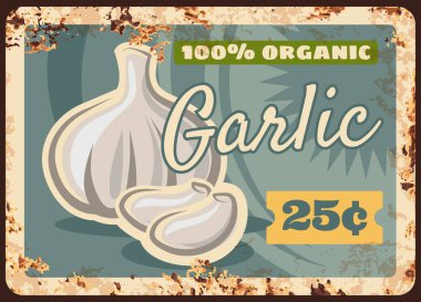 Sarımsaklı metal tabak, sebze pazarı gıda menüsü, vektör retro poster. Yeşil sebzeler, sebzeler, doğal organik sarımsak, yemek pişirme baharatları.