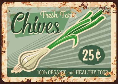 Frenk soğanı, bitkisel metal plaka paslı, tarım otları ve baharatlar yiyecek, piyasa fiyatı, vektör retro posteri. Doğal organik soğanlar, tarımsal sebzeler metal tabakta paslı yiyecekler.