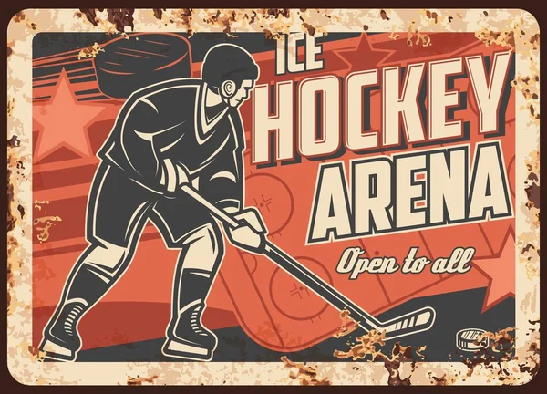 Lední Hokejová Sportovní Aréna Rezavý Kovový Talíř Hráč Holí Bít — Stockový vektor