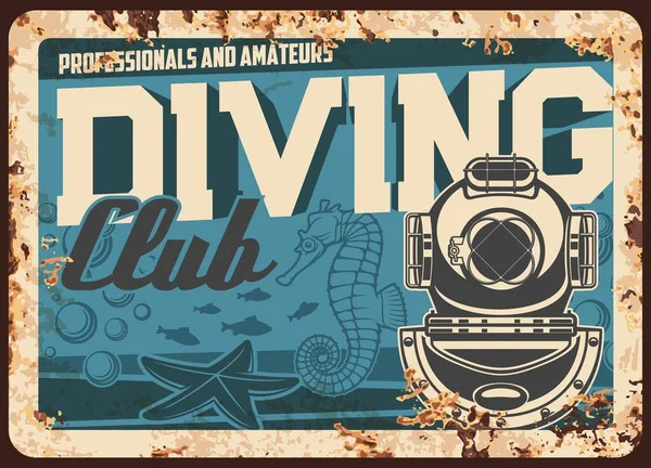 Diving Club Metal Rusty Plate Scuba Sport Poster Vector Retro — Stock Vector