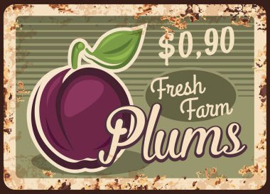 Erikler paslı metal plaka, vektör paslı teneke tabela ve yapraklı olgun bahçe meyvesi. Prune tarım pazarı üretimi, meyve bahçesi tanıtım kartı, yırtıcı fiyat etiketi, dükkan veya dükkan için retro poster