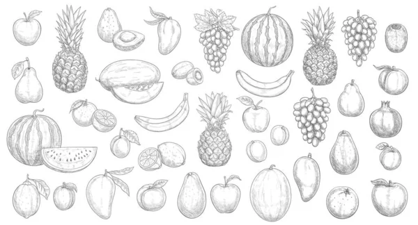 Sketch Owoce Izolowane Wektor Ikony Arbuz Ananas Brzoskwinia Mango Kiwi — Wektor stockowy