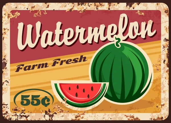 Wassermelone Metallteller Rostig Bauernfrüchte Preisvektor Retro Poster Biologisch Natürliche Landwirtschaft — Stockvektor