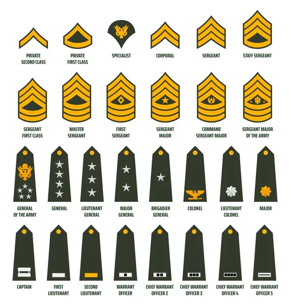 Ejército Los Estados Unidos Alistó Rangos Chevrons Insignias Soldados Servicio — Archivo Imágenes Vectoriales