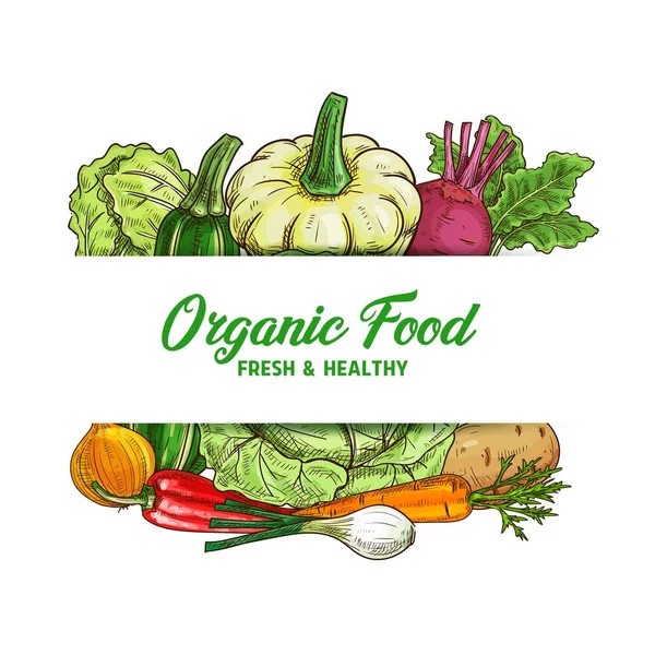 Friss Zöldség Élelmiszer Vektor Vázlat Bio Farm Zöldségek Zöld Napa — Stock Vector